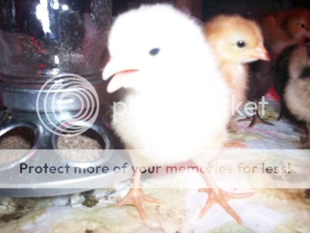 000_0055.jpg