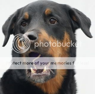 ImportedPhotos00018.jpg