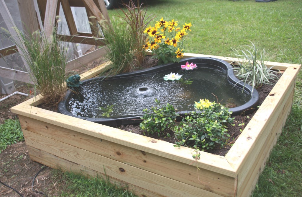 pond-water-1-1024x667.jpg