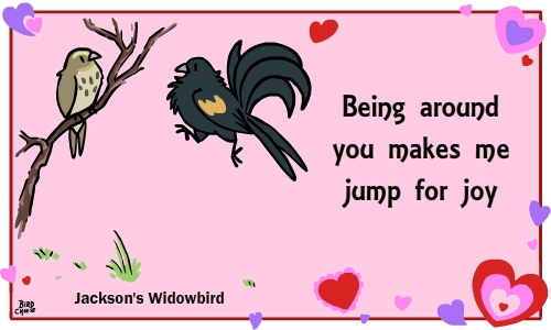 tumblr_oldlksRT5c1u0n985o5_500.gif