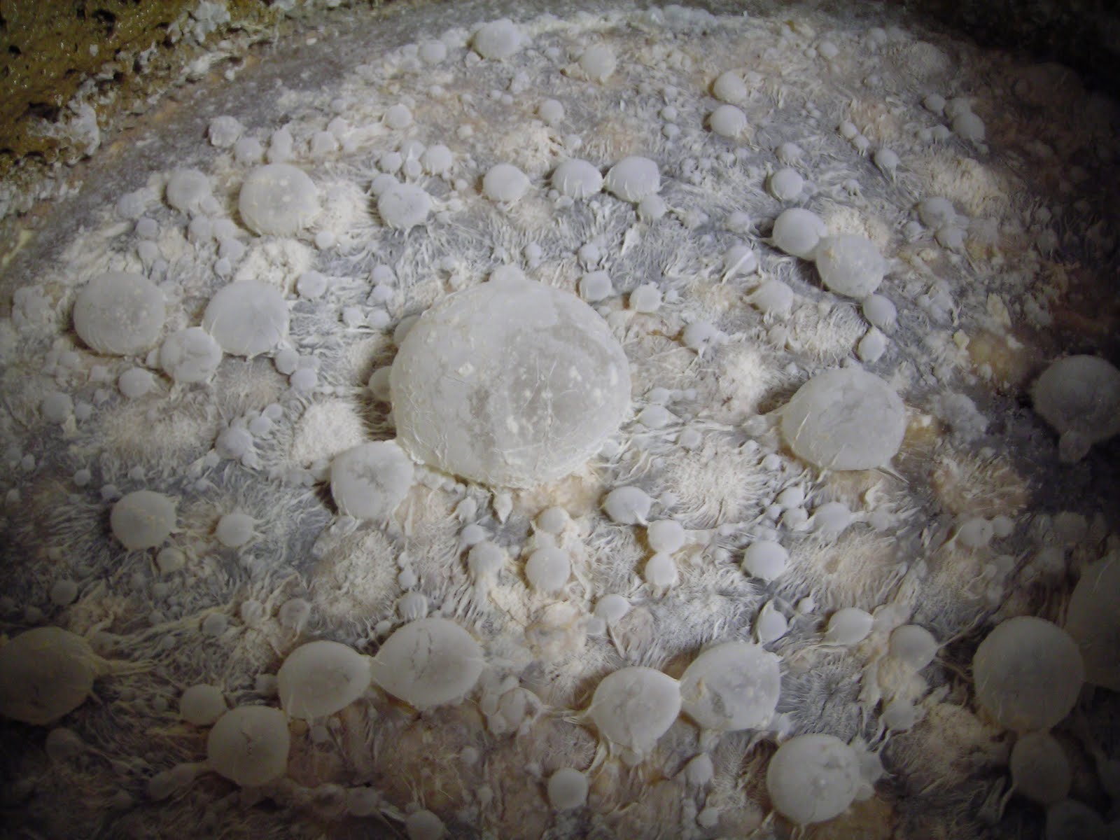DSCN1537.JPG