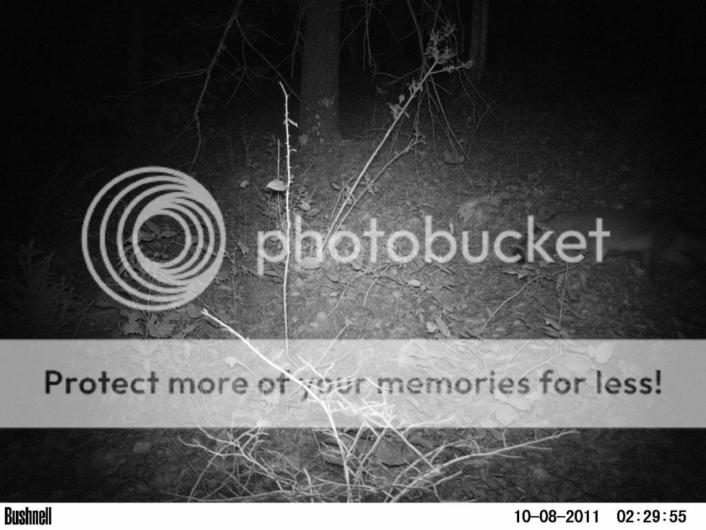 PICT0015.jpg