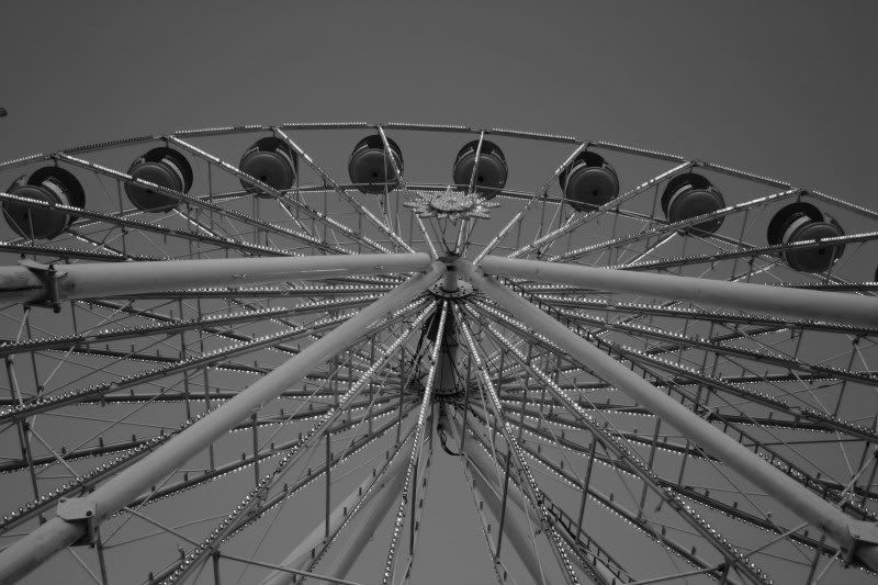 IMG_6378.jpg