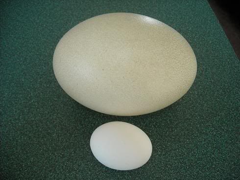 DSCN5987.jpg