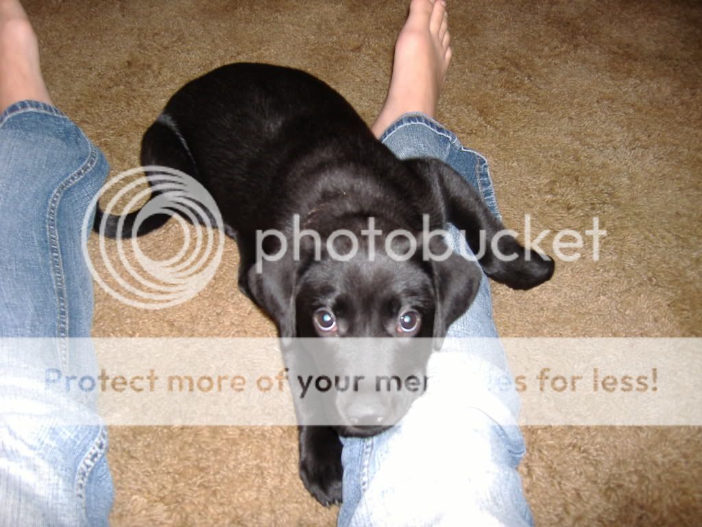 DSCF1291.jpg