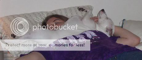 comfy.jpg