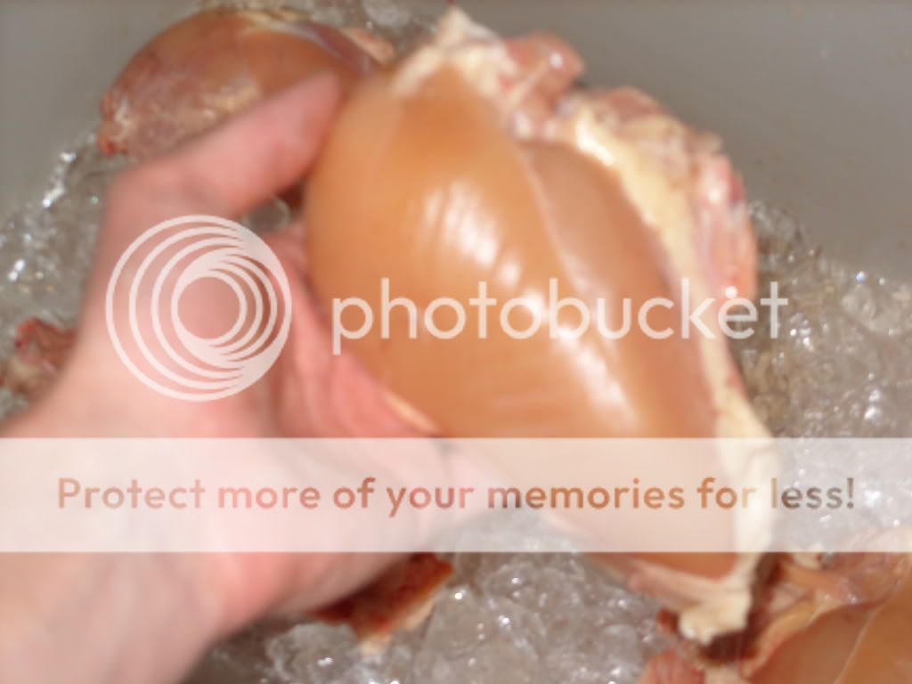 chicken003.jpg