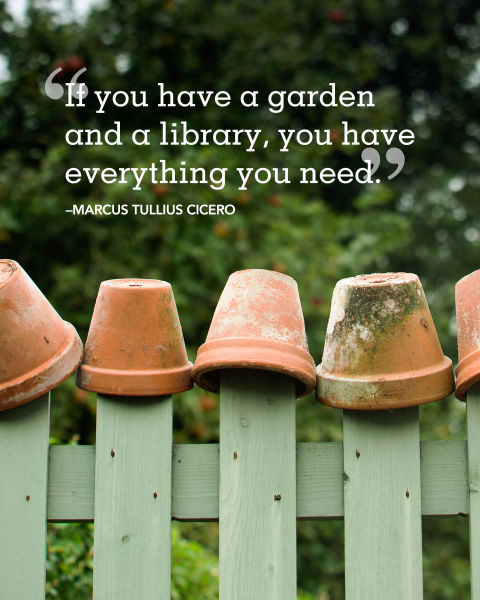 cl_070616_summer-quotes_cicero.jpg
