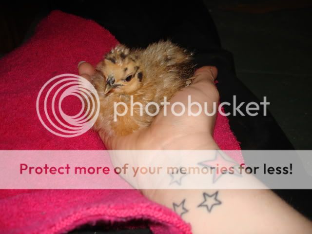 DSC01392.jpg