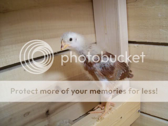100_0213.jpg