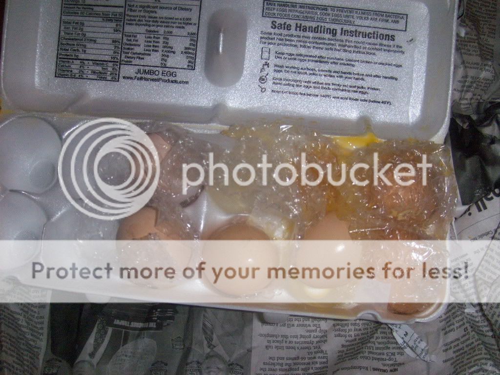Ruinedeggs007.jpg