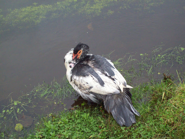 100_4807.JPG