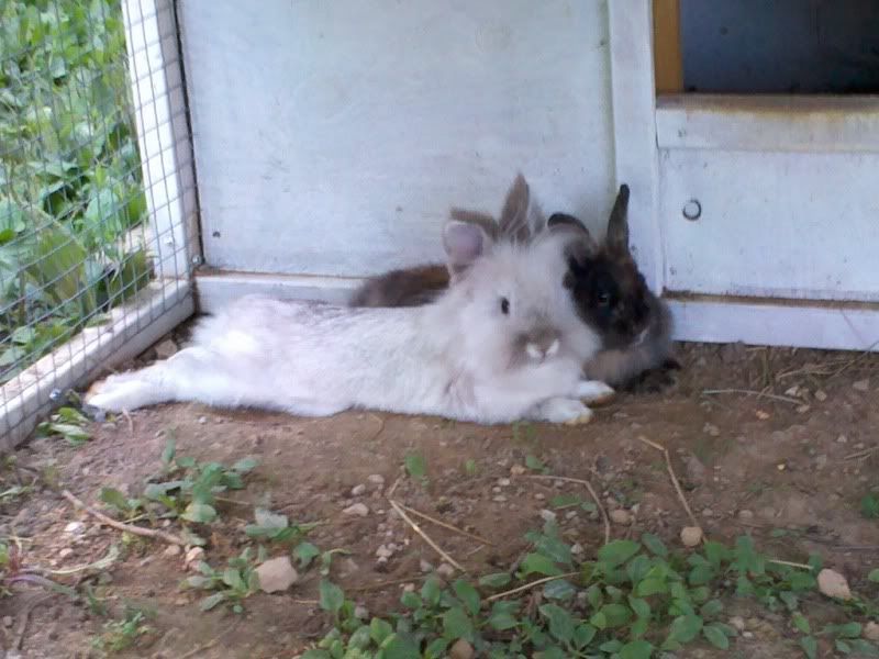 2011-06-30_19-06-08_677.jpg