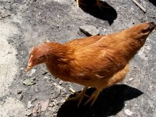 000_0075.jpg