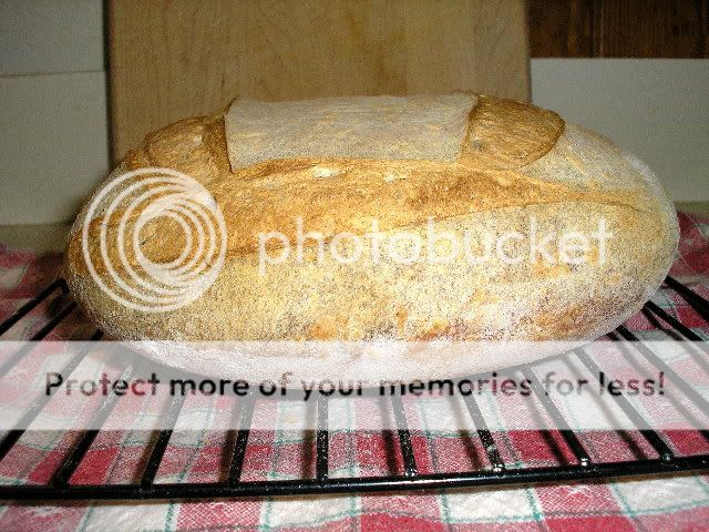 Sourdoughboule1-30-10002resize.jpg