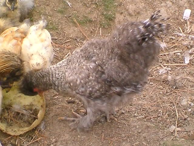DSCF5058.jpg