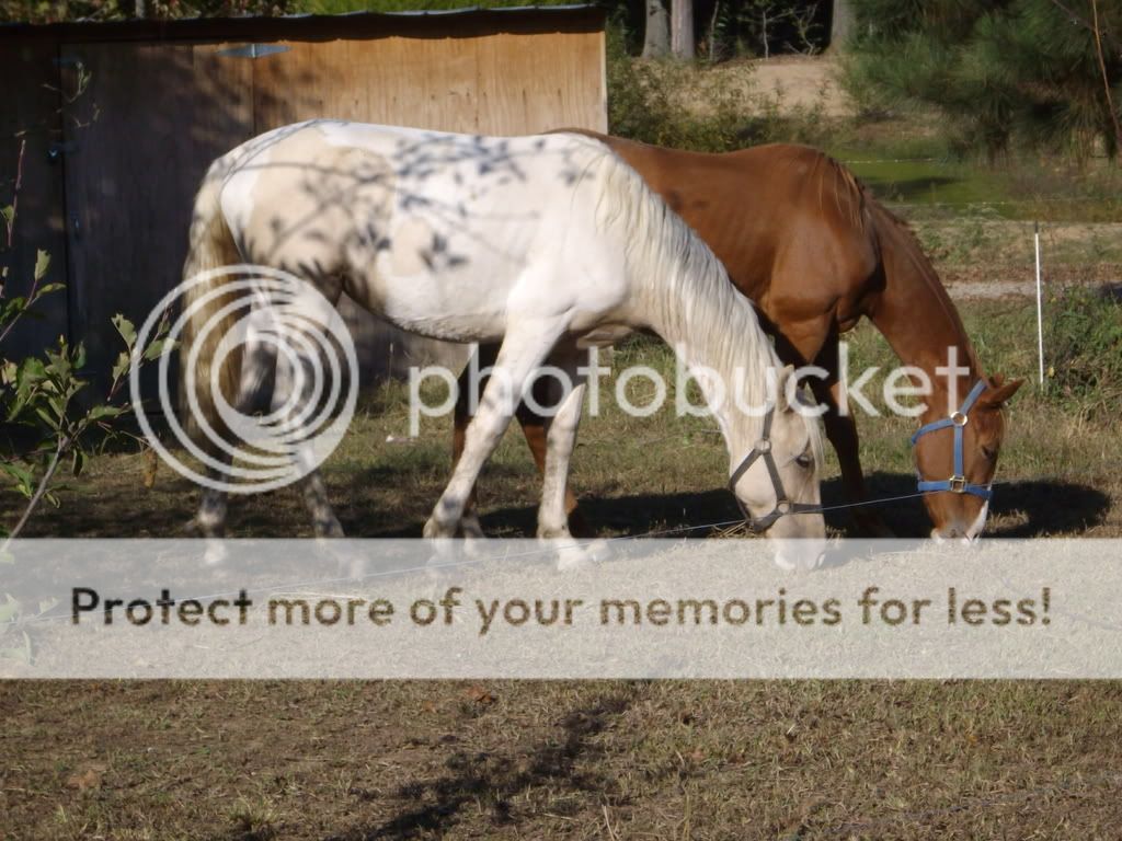 ofallofthem029.jpg