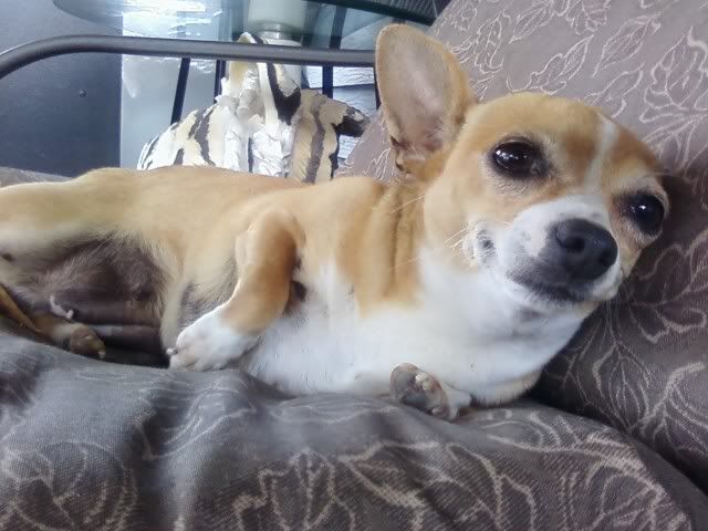 07023506.jpg