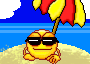 vil2_playa2.gif