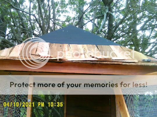 Shingles.jpg