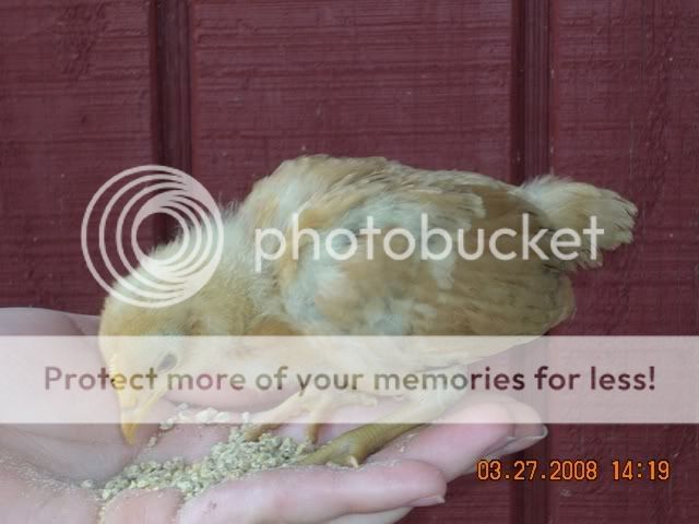 DSCN1044.jpg