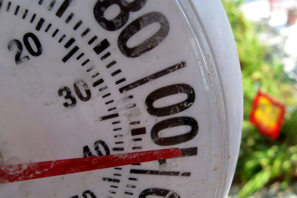 heatwave001.jpg