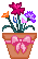 potflowers.gif