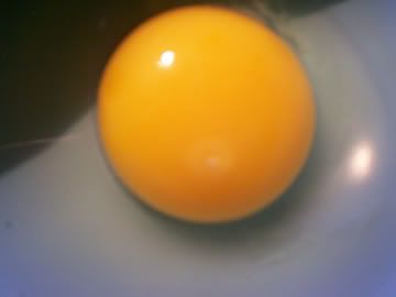 fegg2.jpg