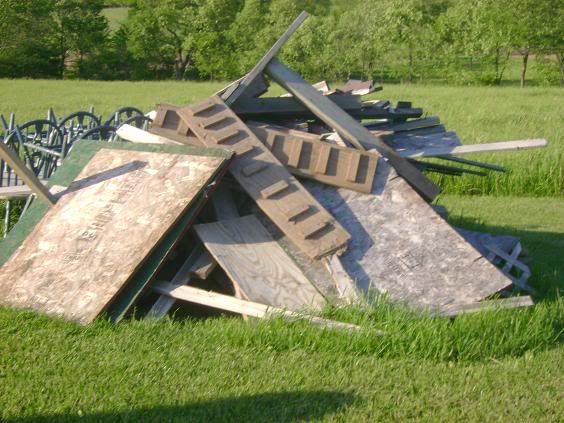 nest1.jpg