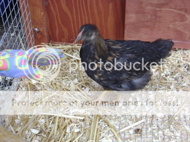 DSC00824.jpg