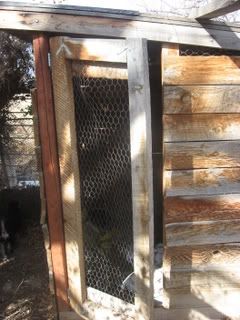 chickencoop002.jpg