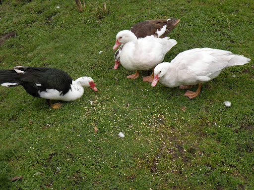DSCN5425.JPG
