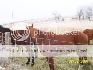 100_2782.jpg