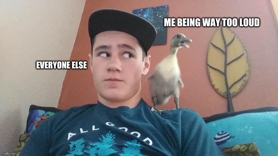 30qkhw.jpg