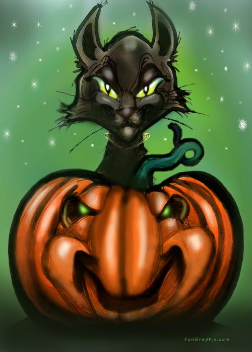 black-cat-n-pumpkin-kevin-middleton.jpg