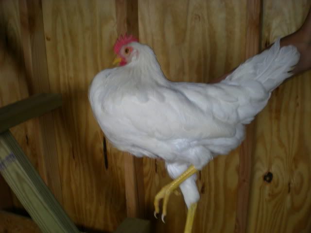 DSCN3347.jpg