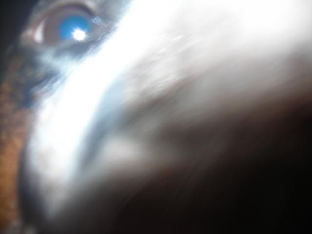 DSCN4947.jpg
