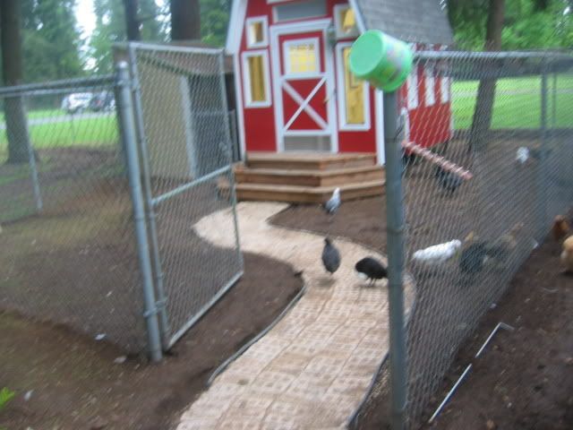 100_0031-4.jpg