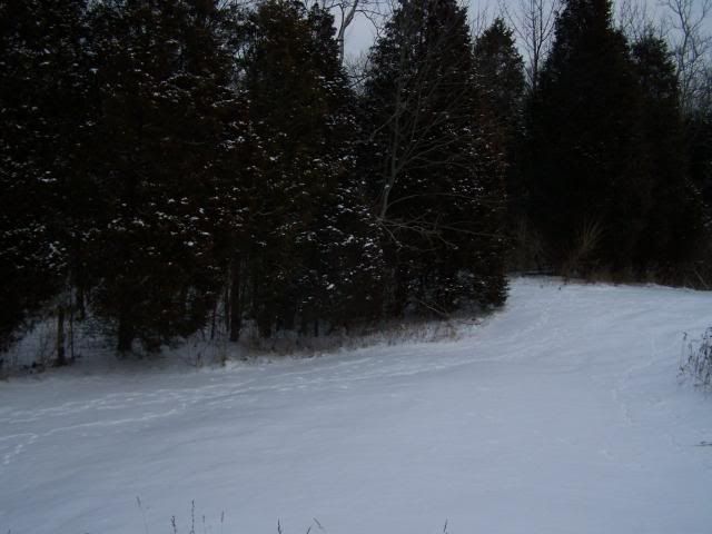 snow006.jpg