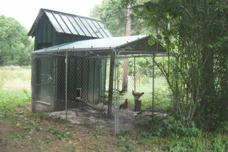 pentop1.jpg