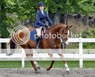 Canter.jpg
