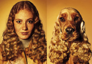 dog_look_alike.jpg