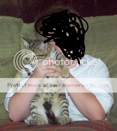 cat.jpg