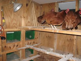 IMG_1159.jpg