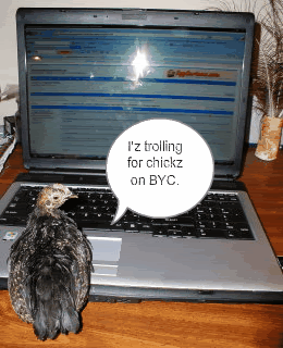 P1010007-1-1.gif