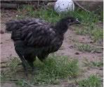 2011-06-14_20-06-16_967-1.jpg