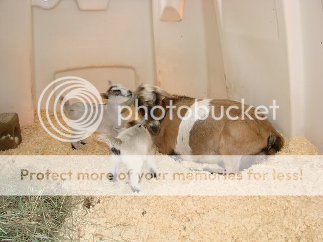 DSC08390.jpg