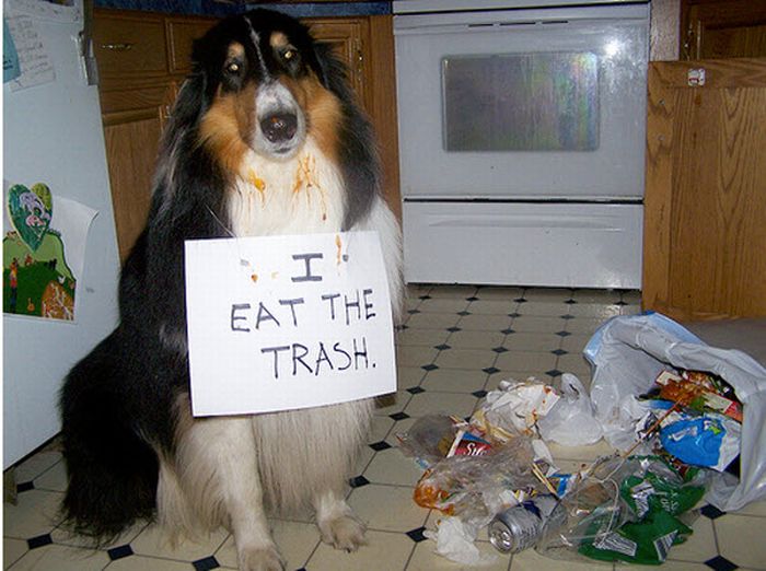 acid_picdump_89.jpg