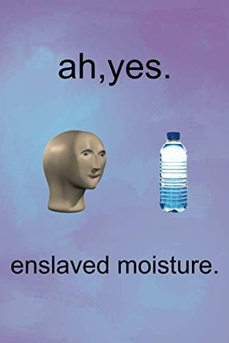 Amazon.com: Ah Yes Enslaved Moisture: Funny Meme Journal / Diary /  Notebook: 9781654552596: Journal, Memes: Books