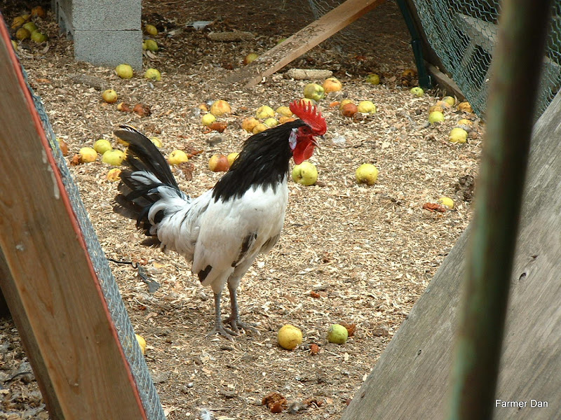 DSCF0007.JPG